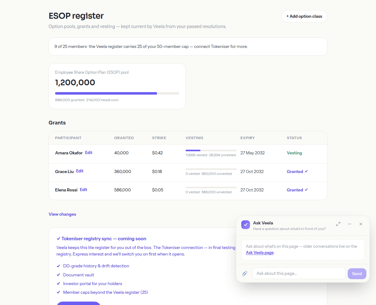 The ESOP option register, showing each grant's holder, units, vesting schedule and how much of the pool is still unallocated.